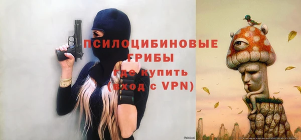стаф Алексеевка