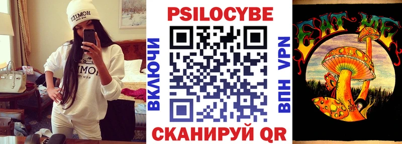 Псилоцибиновые грибы Psilocybe  площадка телеграм  Белокуриха  даркнет сайт 